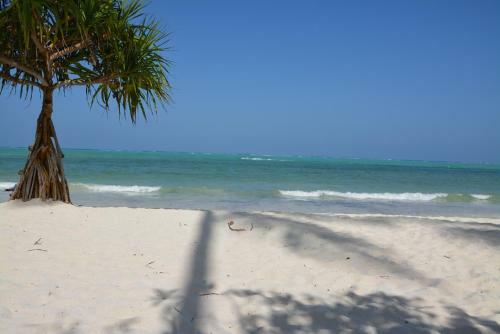 Hotel Neptune Pwani Beach Resort & Spa - All Inclusive