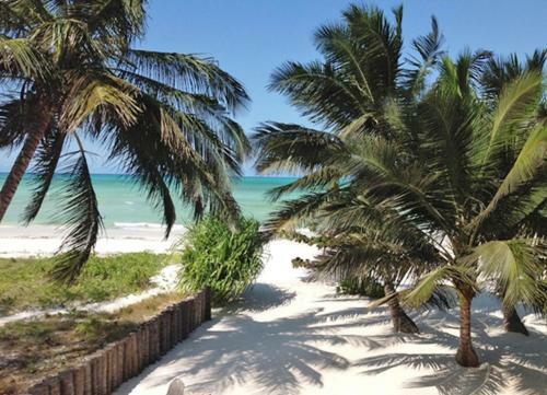 Hotel Pongwe Bay Resort