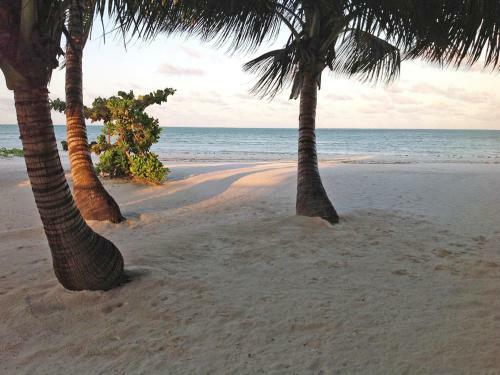 Hotel Pongwe Bay Resort