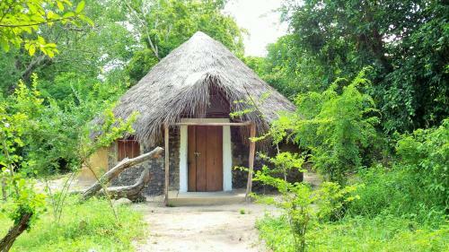 Africa Safari Selous