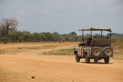 Africa Safari Selous
