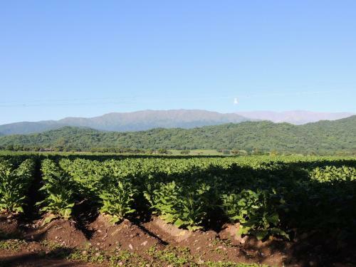 Hostal Finca Las Margaritas