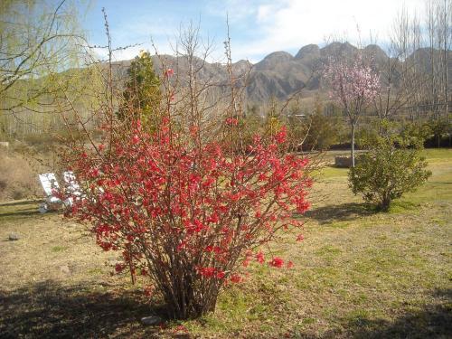 Hostal Caba�as Rio Mendoza