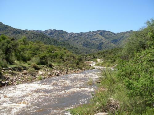 Complejo Arlington Village
