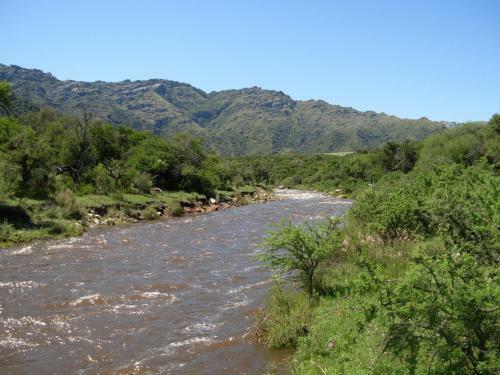 Complejo Arlington Village