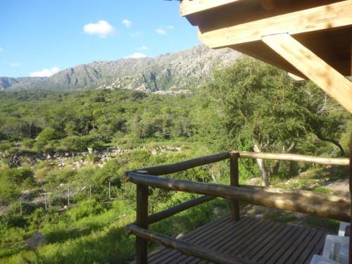 Complejo Arlington Village
