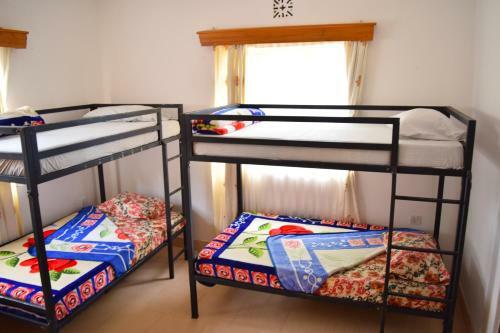 Little Arusha Hostel