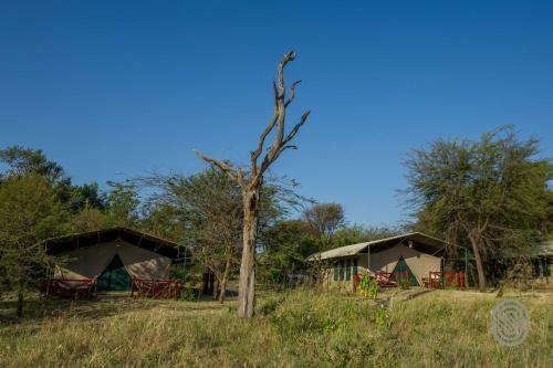 Mbuzi Mawe Serena Camp