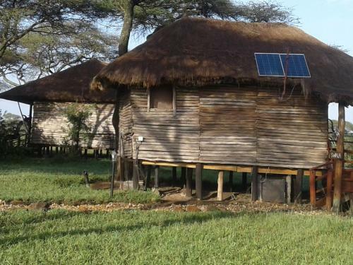 Lodge Ikoma Safari Camp