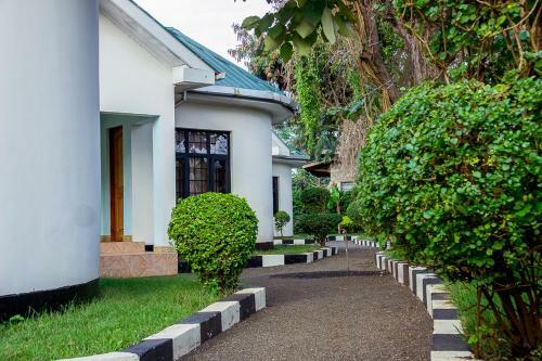 Bed & Breakfast Shangwe Lodge
