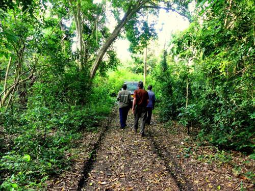 Lodge Kisampa Bush Retreat