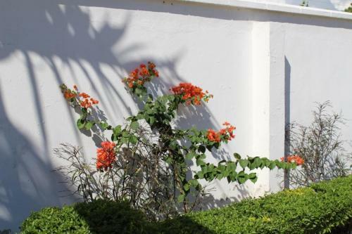 Hostal Idc Guest House