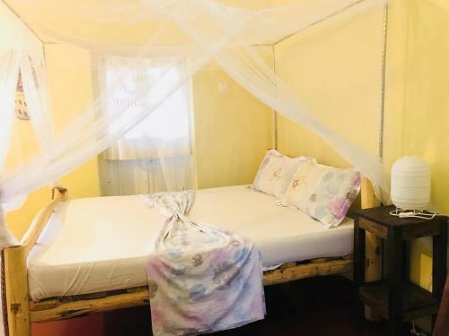 Bed & Breakfast Swedzan House