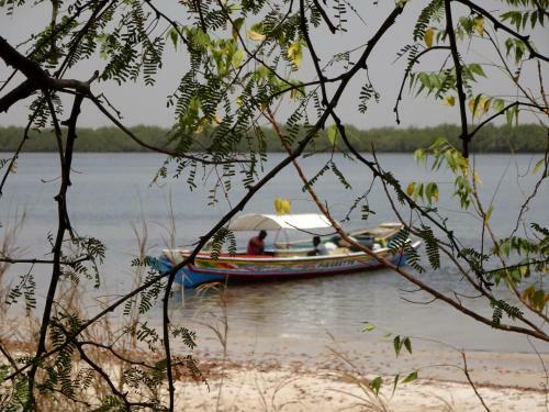Bed & Breakfast La Palangrotte