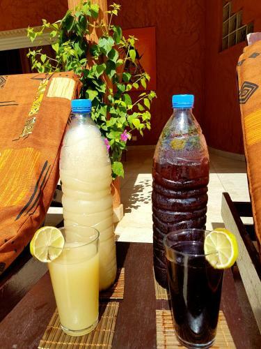 Safari Village Saly