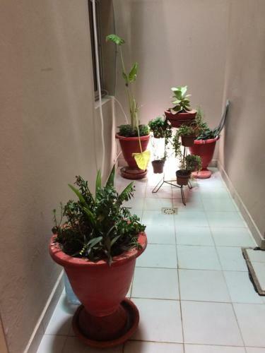 Apartamento Villa Masati