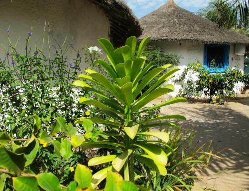 Posada Mussuwam