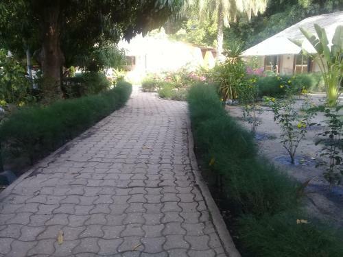 Hotel Nema Kadior