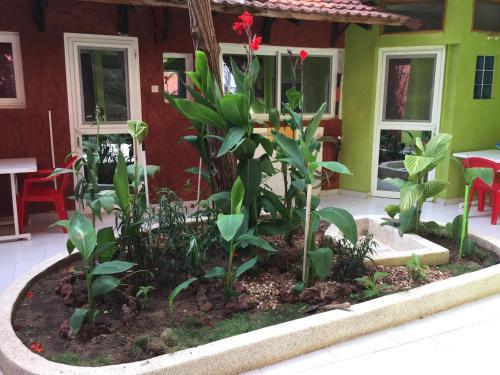 Hostal Adiana Saly Coulang