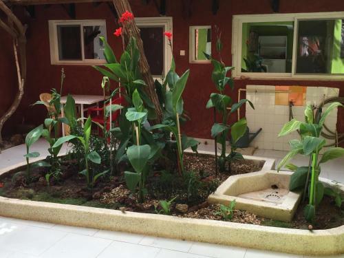 Hostal Adiana Saly Coulang