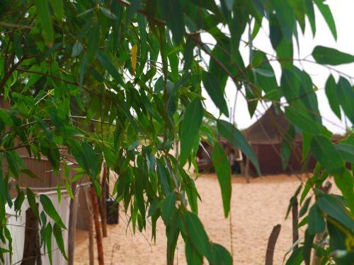 Camp Du D�sert ? Esprit D?afrique