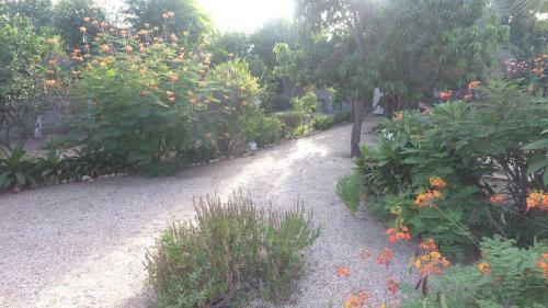 Posada Auberge Plein Soleil