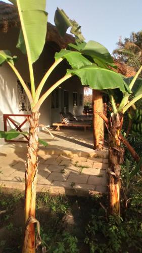 Les Maisons De Marco Senegal