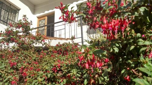 Hostal Posada "junco Y Capuli"