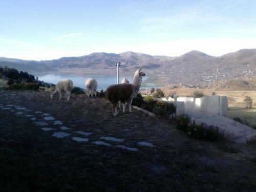 Mirador Del Titikaka
