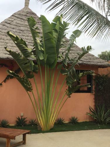 Terra Lodge S�n�gal