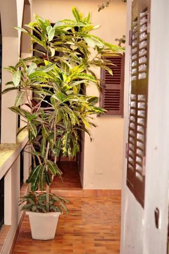 Hostal Chez Titi