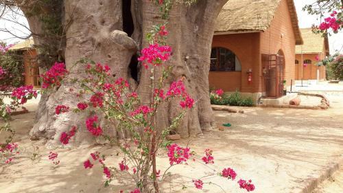 Baobab Lodge