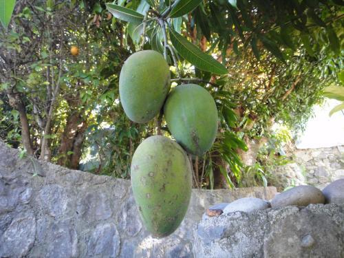 Bed & Breakfast Villa Des Remparts