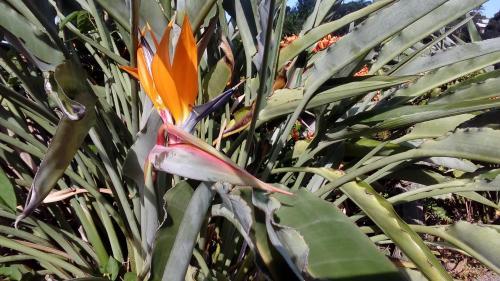 Bed & Breakfast Villa Des Remparts