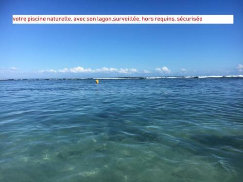 Apartamento � Pied Dans L'eau