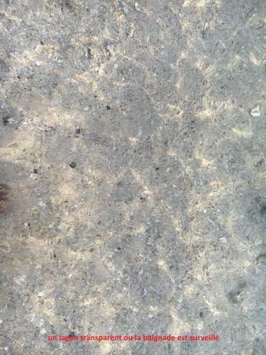 Apartamento � Pied Dans L'eau