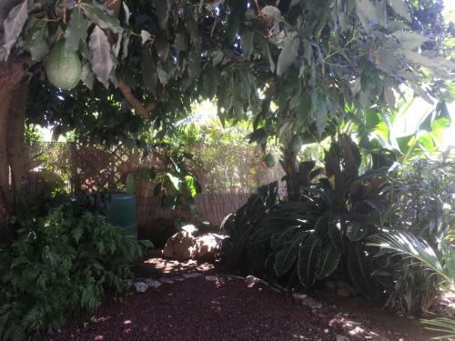 Bed & Breakfast Caloupil�