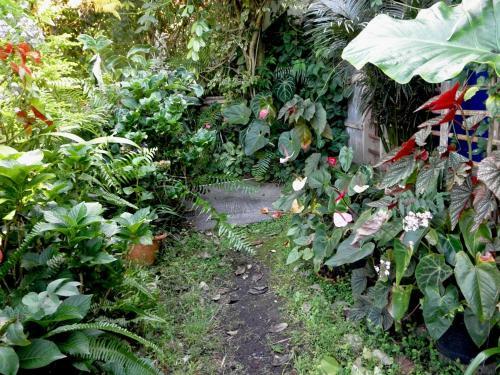 Bed & Breakfast Pinpin D'amour
