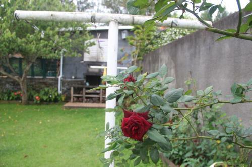 Bed & Breakfast Le Colibri
