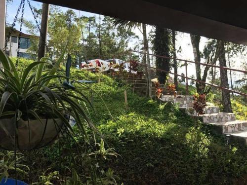 Hacienda Mi Monta�ita