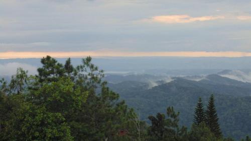 Hacienda Mi Monta�ita