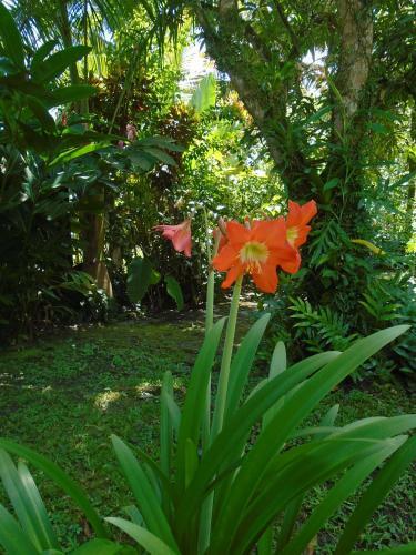 J And H Garden Cabinas
