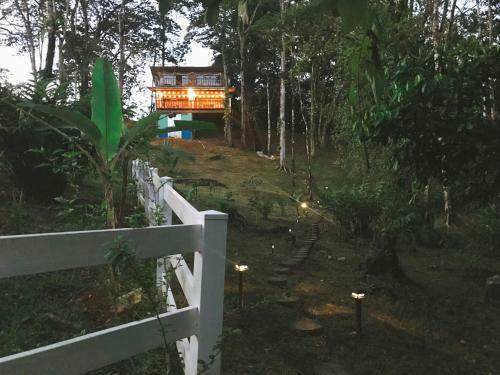 Gracias Madre: A Jungle Cabin With Ocean Views