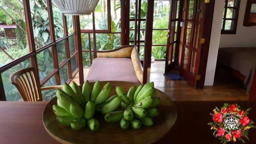Monkey Tree Retreat By The Sea