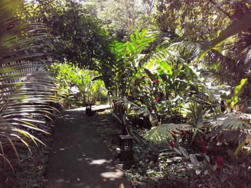 Bed & Breakfast Villa Sevilla