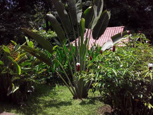 Bed & Breakfast Villa Sevilla