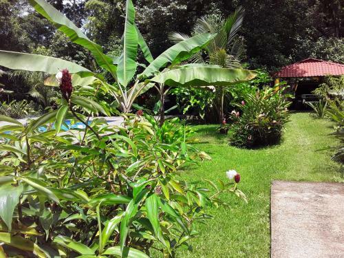 Bed & Breakfast Villa Sevilla