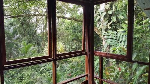 Monkey Tree Retreat By The Sea