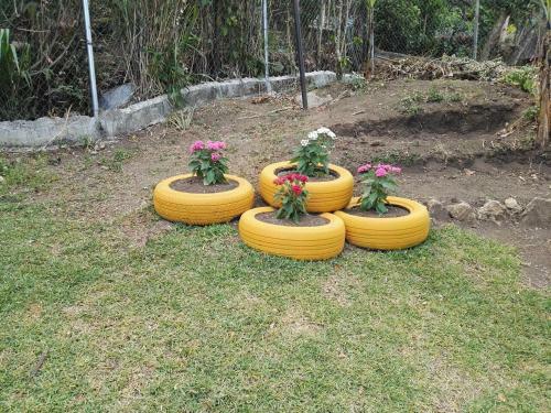 Lodge Hostal Agaseke Boquete