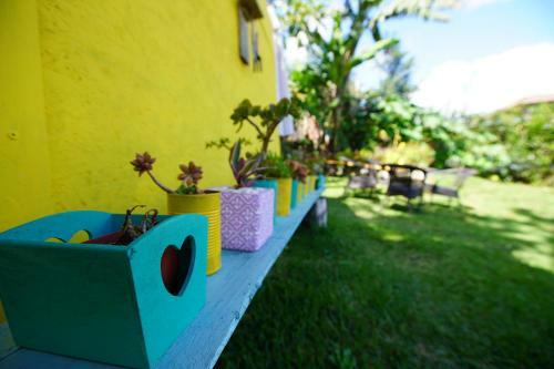 Lodge Hostal Agaseke Boquete